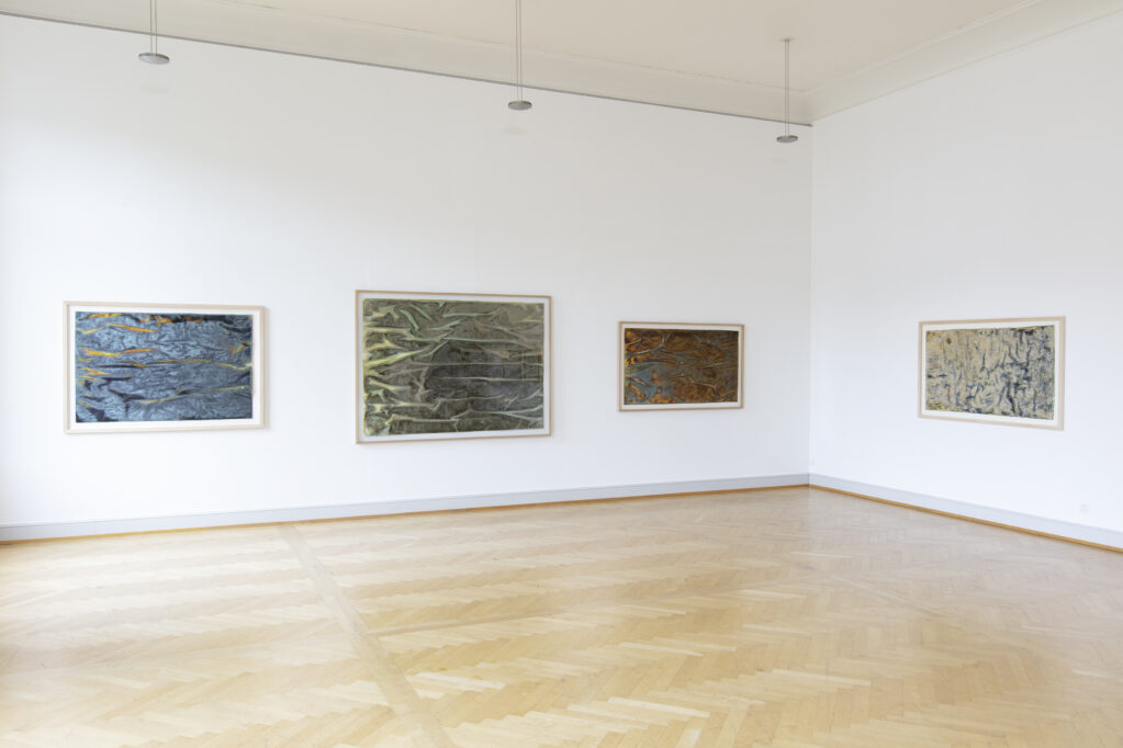 La luca alpina, 2019 • Installation view at Kunstmuseum St.Gallen (CH)