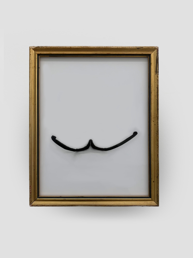 Moustache de Dali, 2023 • inkjet print on paper laminated on dibond, plexiglas, frame 83.5 x 71 x 4 cm