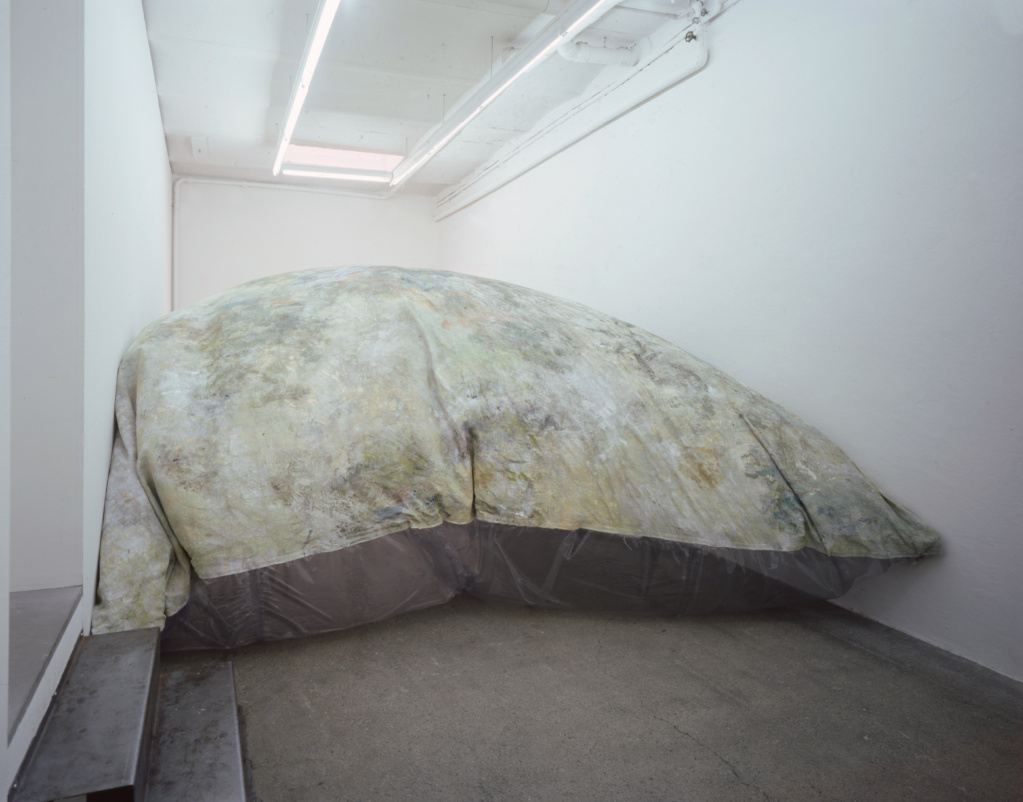  Exhibition view • «Air-Pillow», 2002
