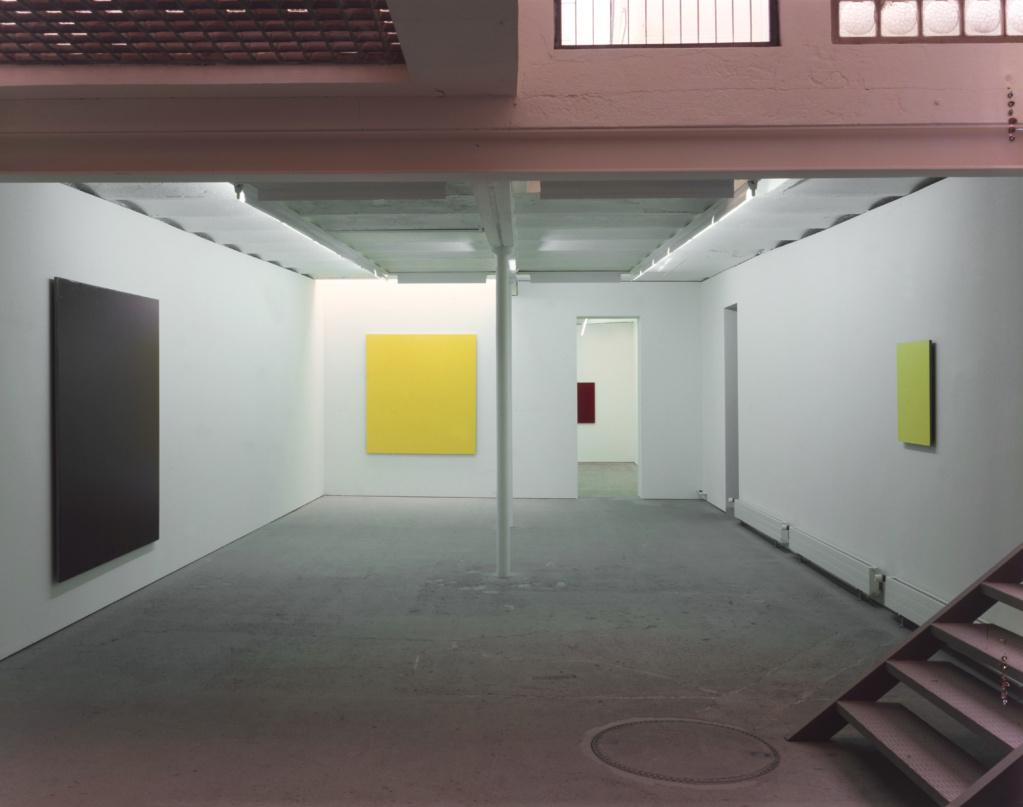  Exhibition view • «Paintings», 1995