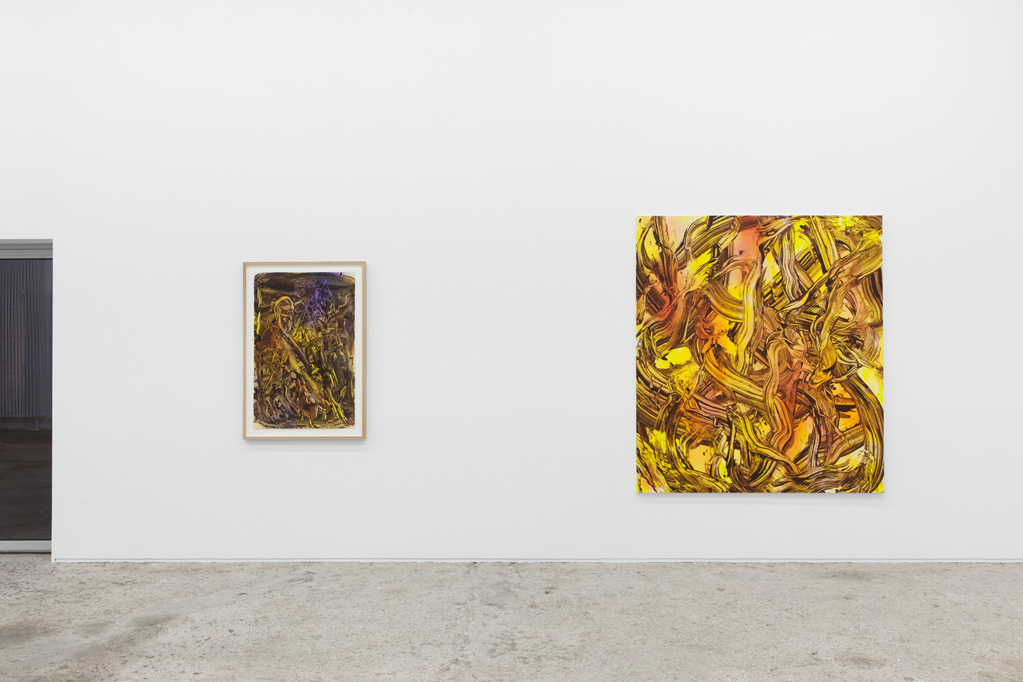 Exhibition view • Judy Millar «Paintings», 2014