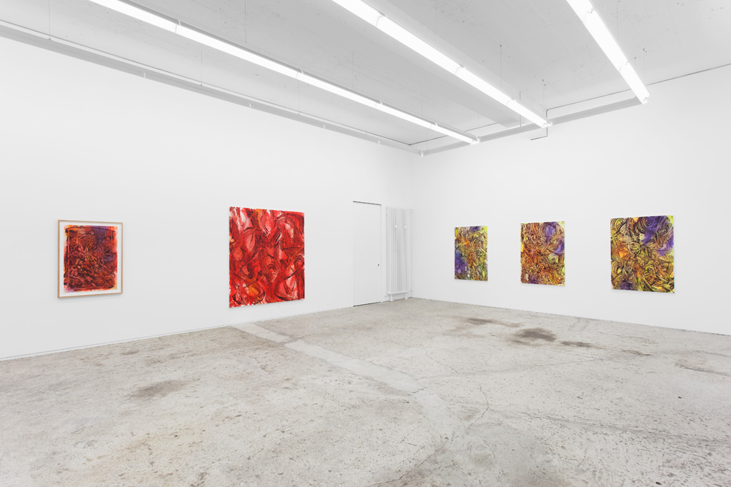 Exhibition view • Judy Millar «Paintings», 2014