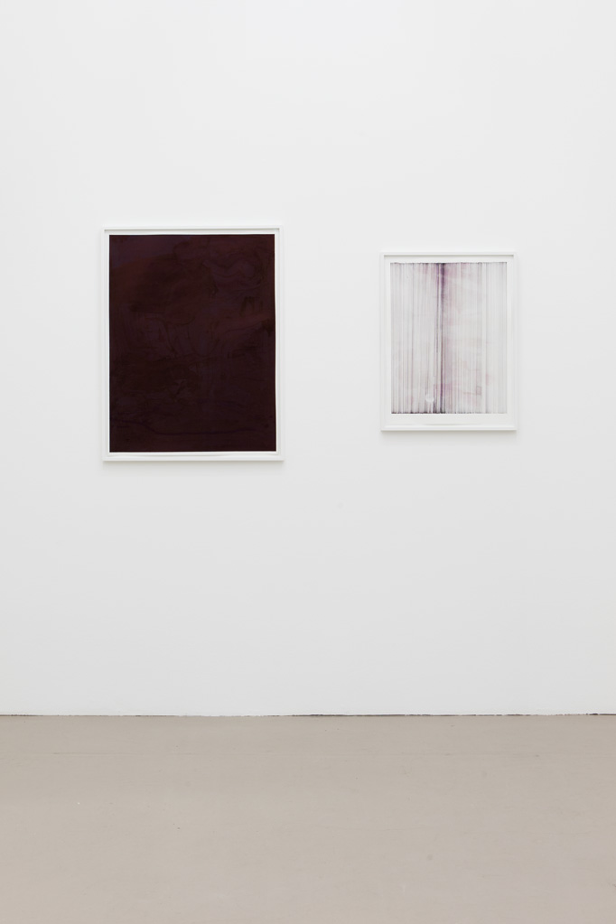 Exhibition view • Parallel #9 Maureen Kaegi «Still Life without a Magnolia», 2014