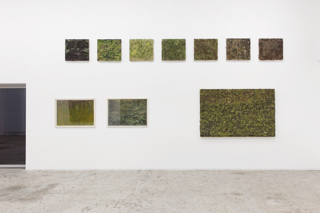 Exhibition view • Patrick Rohner «Landmannalaugar», 2015
