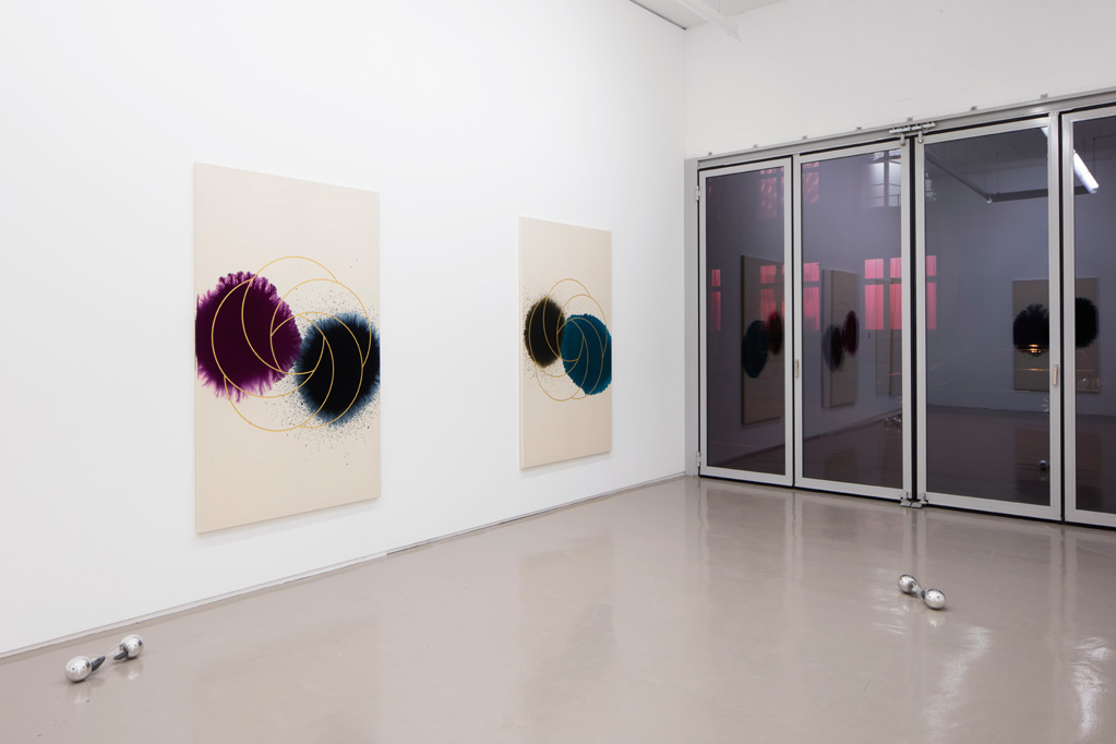 Exhibition view • Giacomo Santiago Rogado «Observing Self», 2015