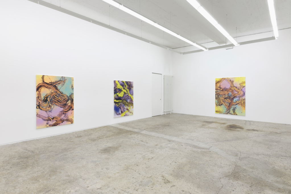 Exhibition view • Judy Millar «Questions I have asked myself», 2022