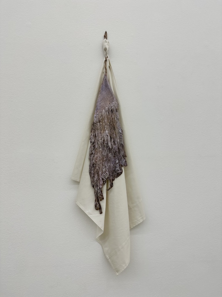 Jane's Haar, 1974 • nacre skin, fabric, 125 x 34 cm